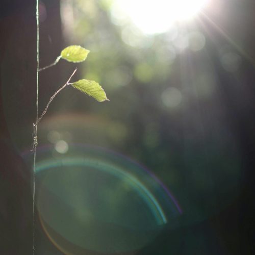 Avarap cadres réorientation pro reprise entreprise création | Réussir sa transition professionnelle et se reconvertir à 50 ans